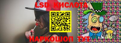 прущие крисы Кингисепп