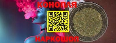 прущие крисы Кингисепп