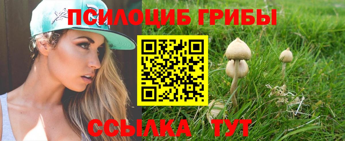 Кудымкар  Галлюциногенные грибы мухоморы  Псилоцибиновые грибы Psilocybine cubensis  Вход с VPN 